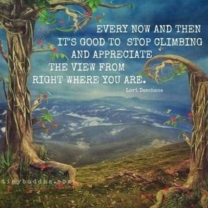 Meet your Posher, Arshi